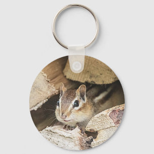 Porte-clés Chipmunk dans une pile de bois