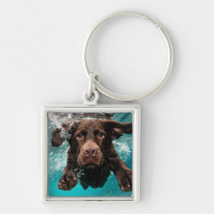 Porte-clés Chocolat Joueur Labrador nage sous l'eau