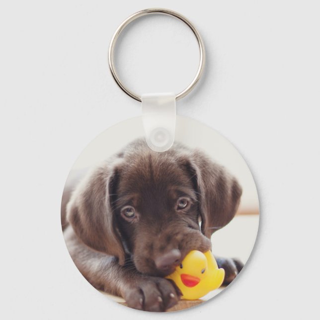 Porte-clés Chocolat Labrador Chiot Avec Canard De Jouet (Recto)