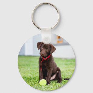 Porte-clés Chocolat Labrador Puppy Avec Tennis Ball
