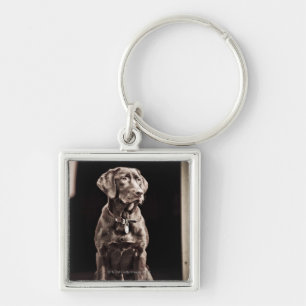 Porte-clés Chocolat labrador retriever