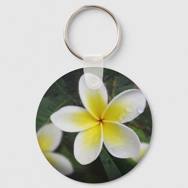 Porte-clés Clavier Frangipani Et Raindrops (Recto)