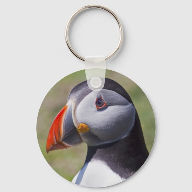 Porte-clés Clavier Portrait Puffin (Recto)