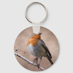 Porte-clés Clavier Robin Rustique