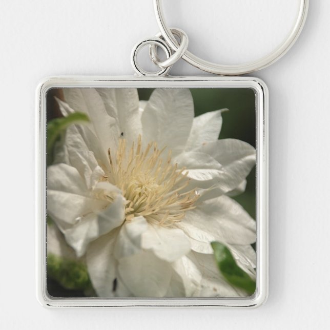 Porte-clés CLEMATIS Artic Queen 1 Porte - clé (Devant)