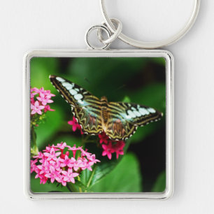 Porte-clés Clipper sur Pentas 1 Porte - clé