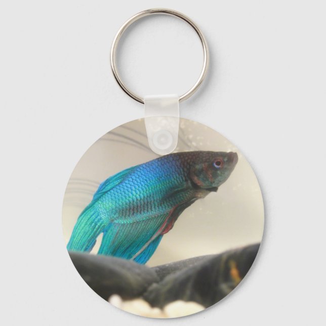 Porte-clés Closeuse de poisson de Betta exotique (Recto)