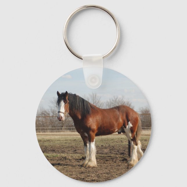 Porte-clés clydesdale (Recto)