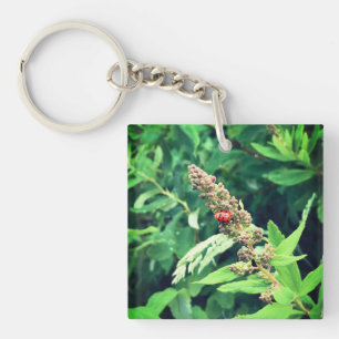 Porte-clés Coccinelle au printemps