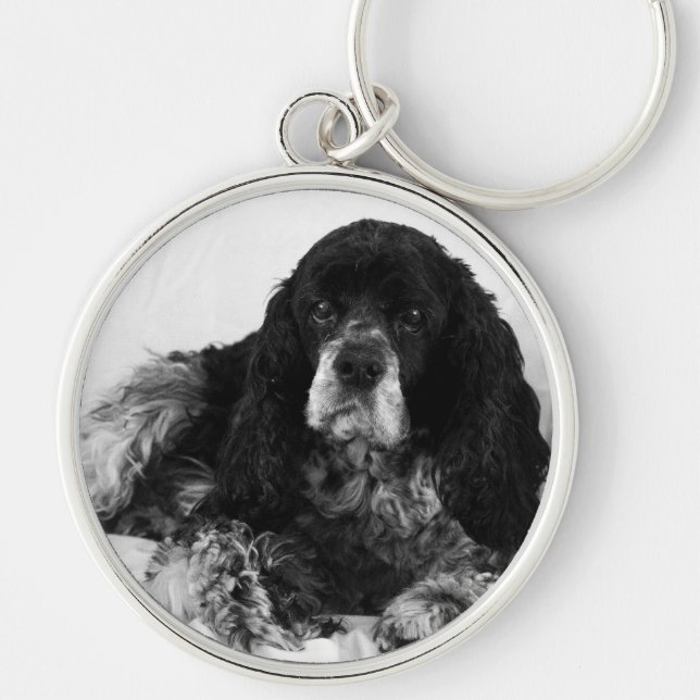 Porte-clés Cocker Spaniel (Devant)