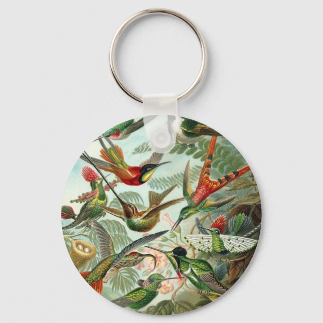 Porte-clés Colibri (Trochilidae) par Haeckel Porte - clé (Recto)