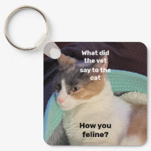 Comment tu félines ?