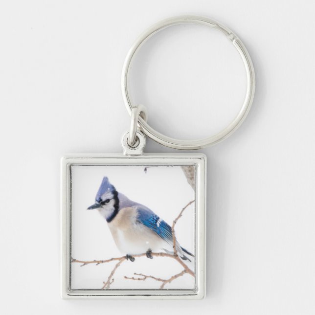 Porte-clés Comté de Wichita, Texas. Blue Jay (Devant)