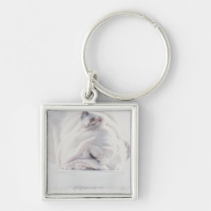 Porte-clés Consommation de bouledogue