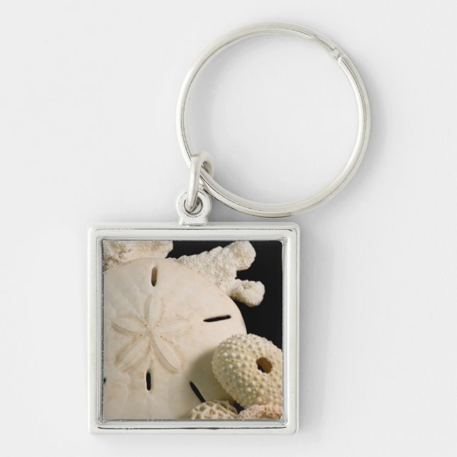 Porte-clés Coquillages Blancs Et Dollar De Sable (Devant)