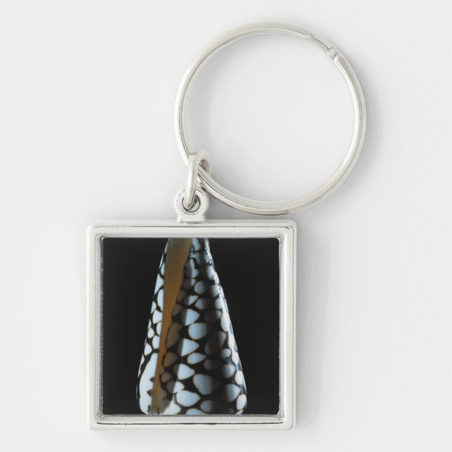 Porte-clés Coquille 2 de cône (Devant)