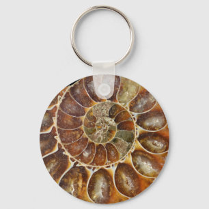 Porte-clés coquille d'escargot fossile préhistorique nature a