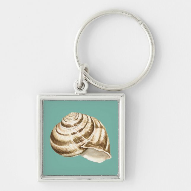 Porte-clés Coquille striée Sepia sur Turquoise (Devant)
