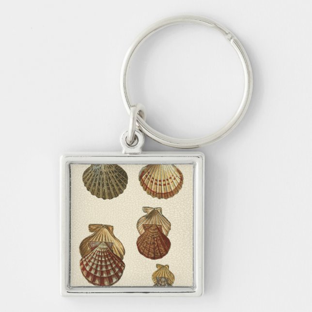 Porte-clés Coquilles antiques craquelées (Devant)