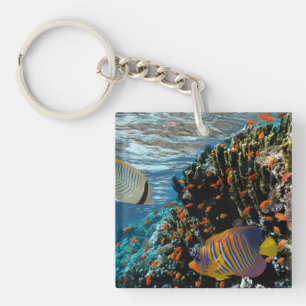 Porte-clés Corail Reef avec feu Corail et poissons exotiques