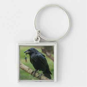 Porte-clés Corbeau sur une branche avec clé
