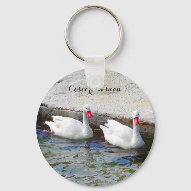 Porte-clés Coscoroba Swan #1 Porte - clé (Recto)