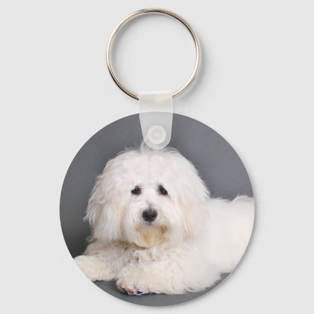Porte-clés Coton de Tulear - Joci (Recto)