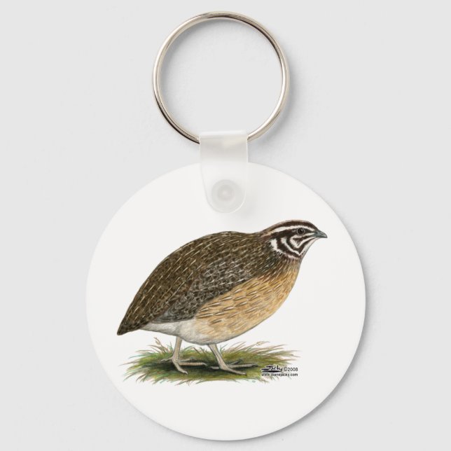 Porte-clés Coturnix Pharaoh (Recto)