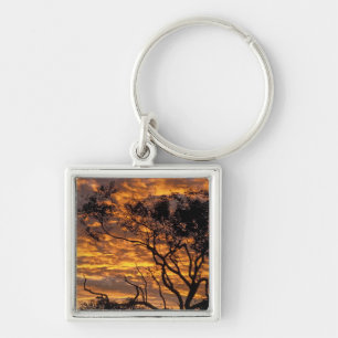 Porte-clés Coucher de soleil, parc national d'Uluru-Kata Tjut