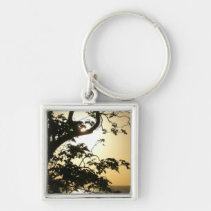 Porte-clés Coucher du soleil à travers les arbres II Photogra
