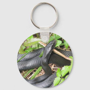 Porte-clés Couleuvre noire