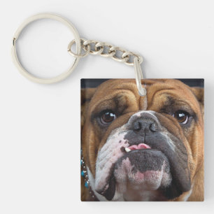 Porte-clés Coussin de jet de Bouledogue Anglais
