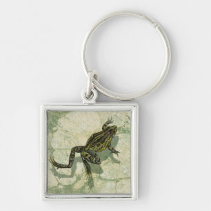 Porte-clés Crapaud Swinning dans l'eau