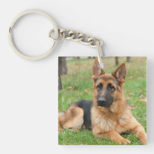 Porte-clés Créez Votre Propre Photo de Compagnon à Quatre Pat
