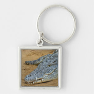 Porte-clés Crocodile