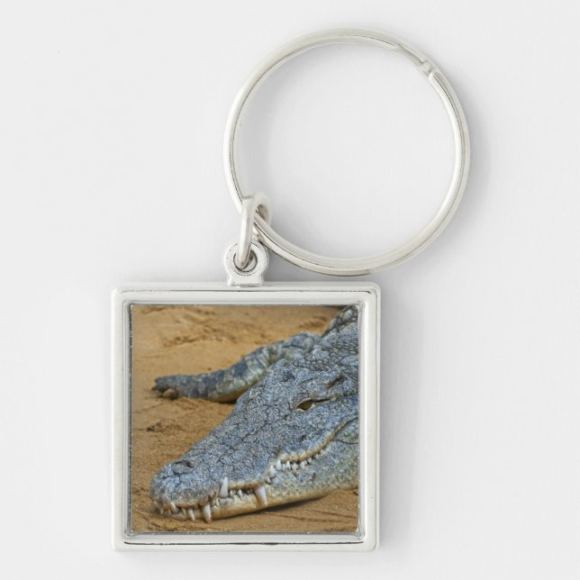 Porte-clés Crocodile (Devant)