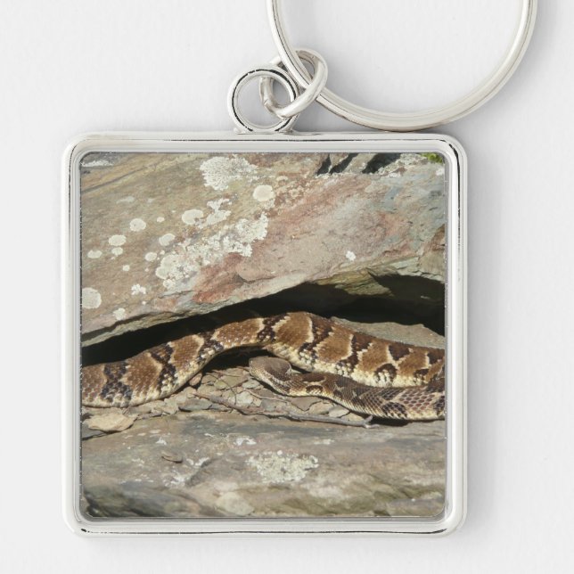 Porte-clés Crotale dans le parc national de Shenandoah (Devant)
