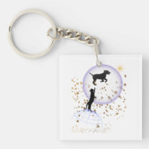 Curieux chat et chien courant