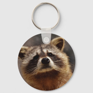 Porte-clés Curieux Raccoon