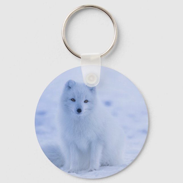Porte-clés Cute Arctic Fox sur Snowy Winter Arrière - plan (Recto)