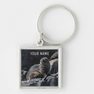 Porte-clés Cute Baby Seal on the Rocks Tasmania Australia