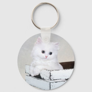 Porte-clés Cute chaton persan blanc