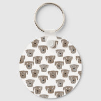 Cute Chocolat Labrador Retriever Chien