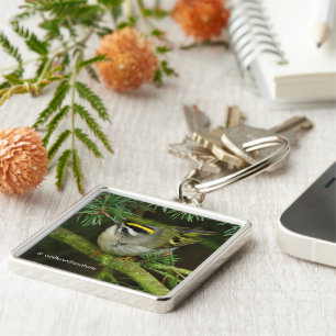 Porte-clés Cute Kinglet Songbird Causes Stir in the Fir