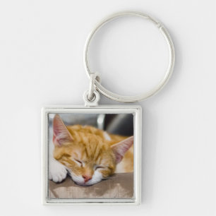 Porte-clés Cute Kitten