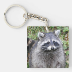 Porte-clés Cute Raccoon