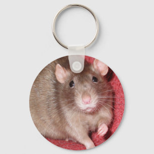Porte-clés Cute rat
