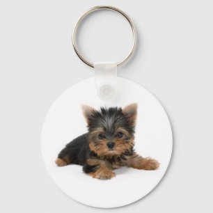 Porte-clés Cute Yorkshire Terrier Puppy