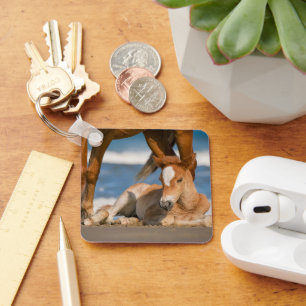 Porte-clés Cutest Baby Animals   Newborn Corolla Wild Horse