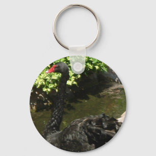 Porte-clés Cygne noir